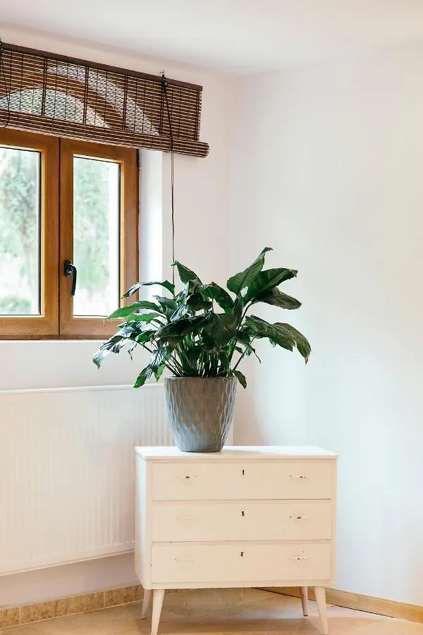 旅馆 Coín All Inclusive Luxurious Coliving La Kookaburra旅舍